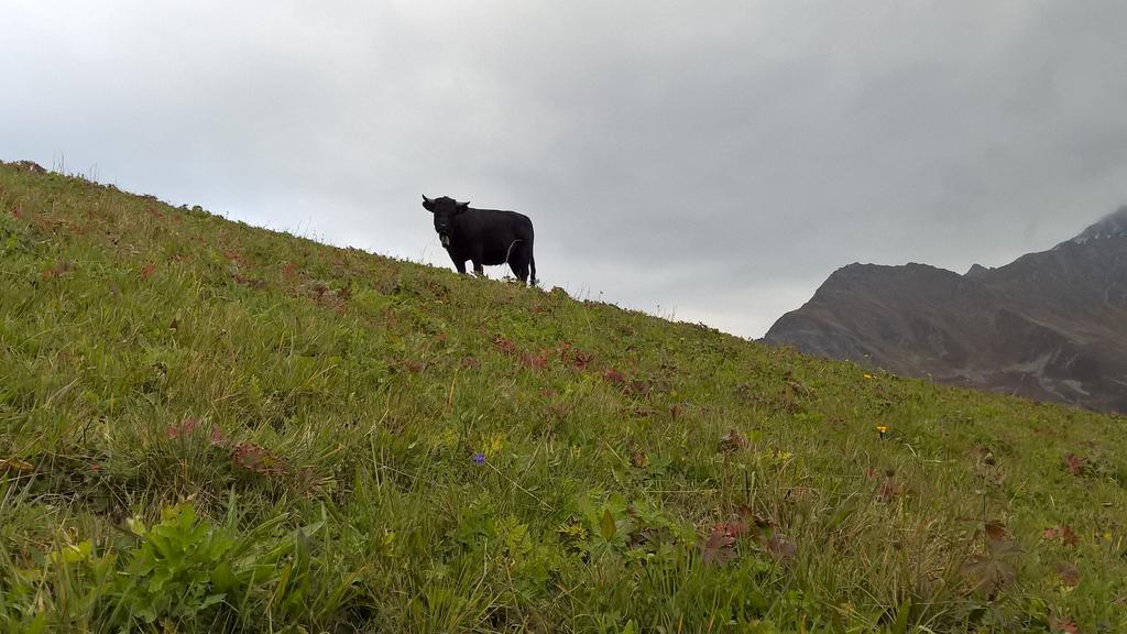 Rodasia Verbier Zewnętrze zdjęcie
